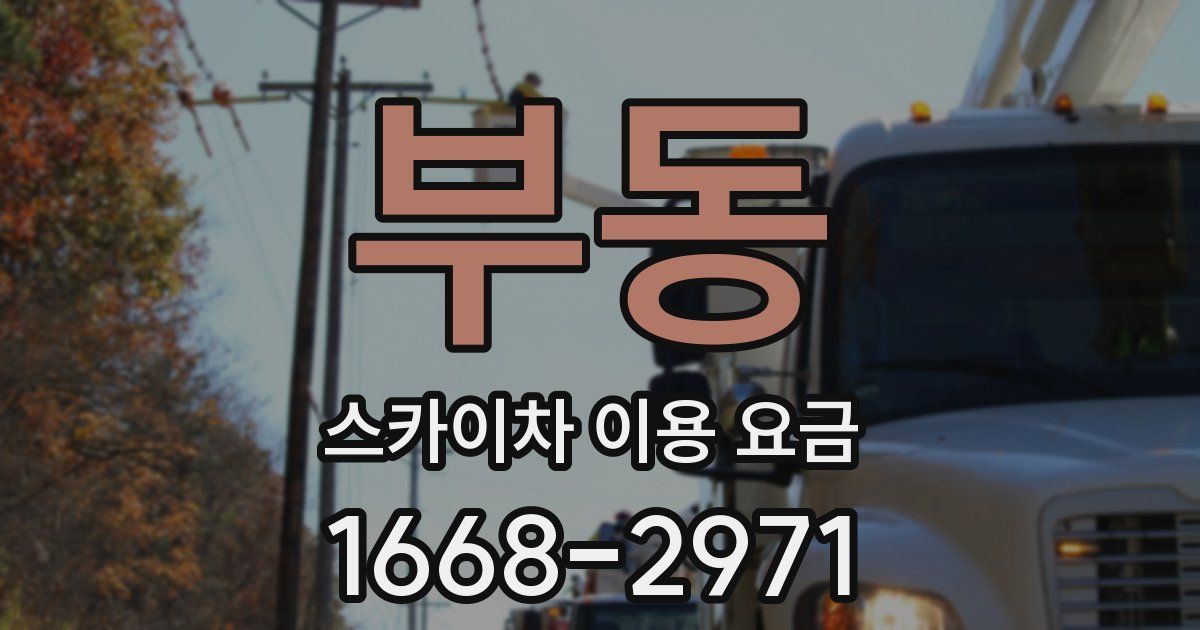 부동 스카이차 이용 요금