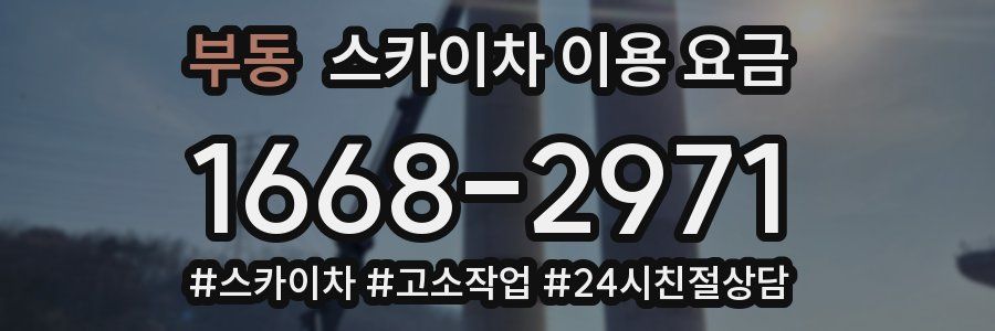 부동 스카이차 이용 요금