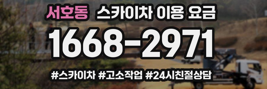 서호동 스카이차 이용 요금