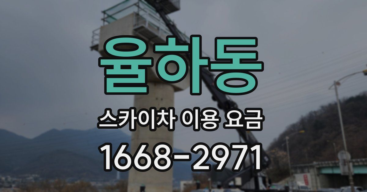 율하동 스카이차 이용 요금