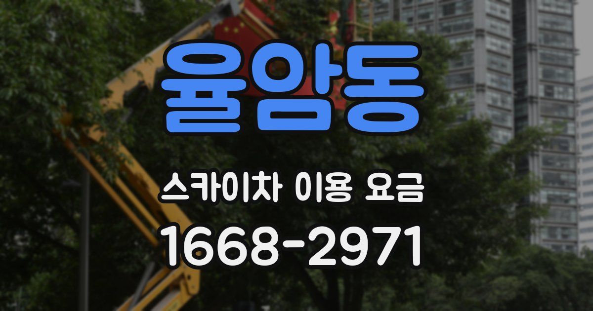 율암동 스카이차 이용 요금