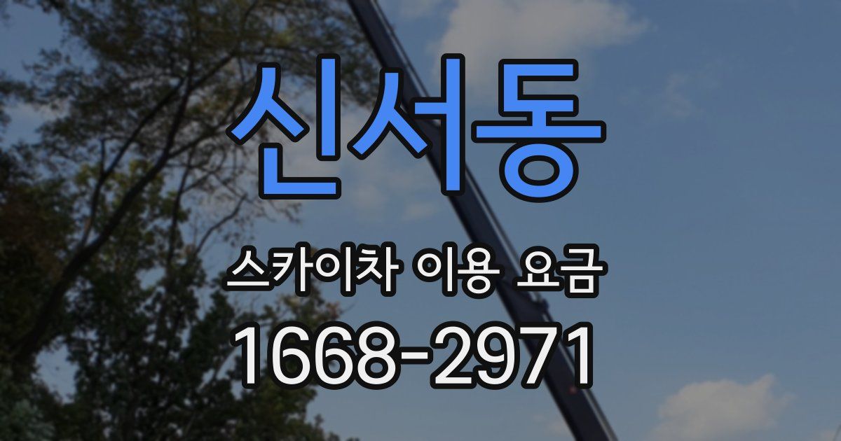 신서동 스카이차 이용 요금