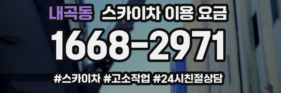 내곡동 스카이차 이용 요금