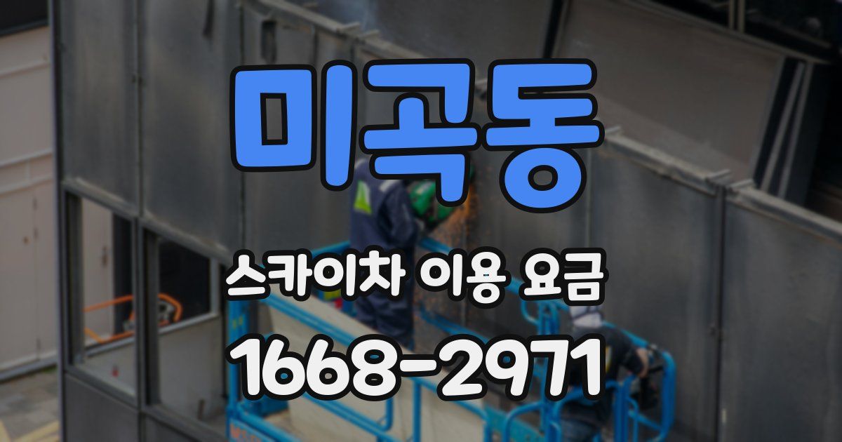 미곡동 스카이차 이용 요금