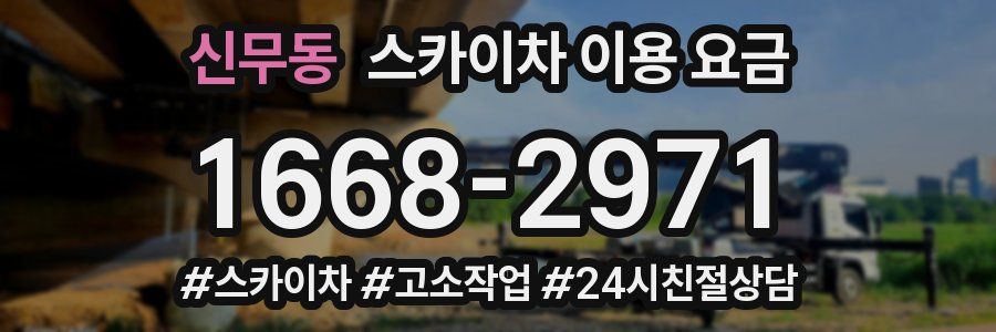 신무동 스카이차 이용 요금