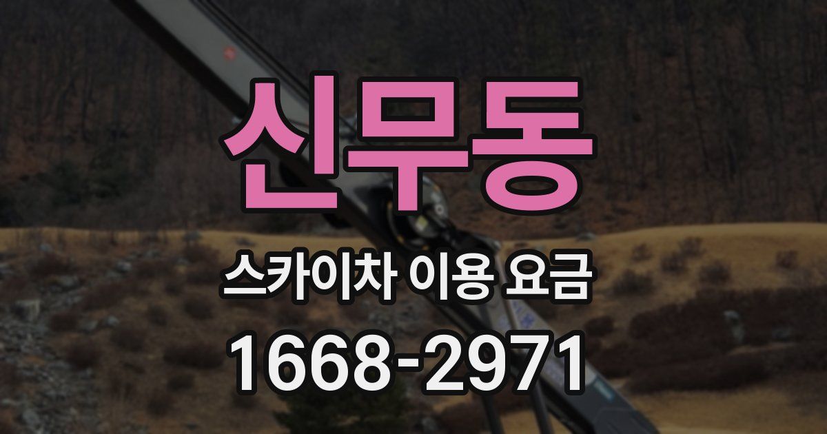 신무동 스카이차 이용 요금