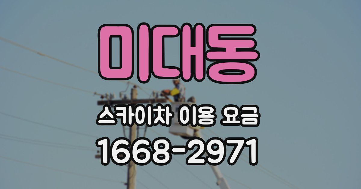 미대동 스카이차 이용 요금