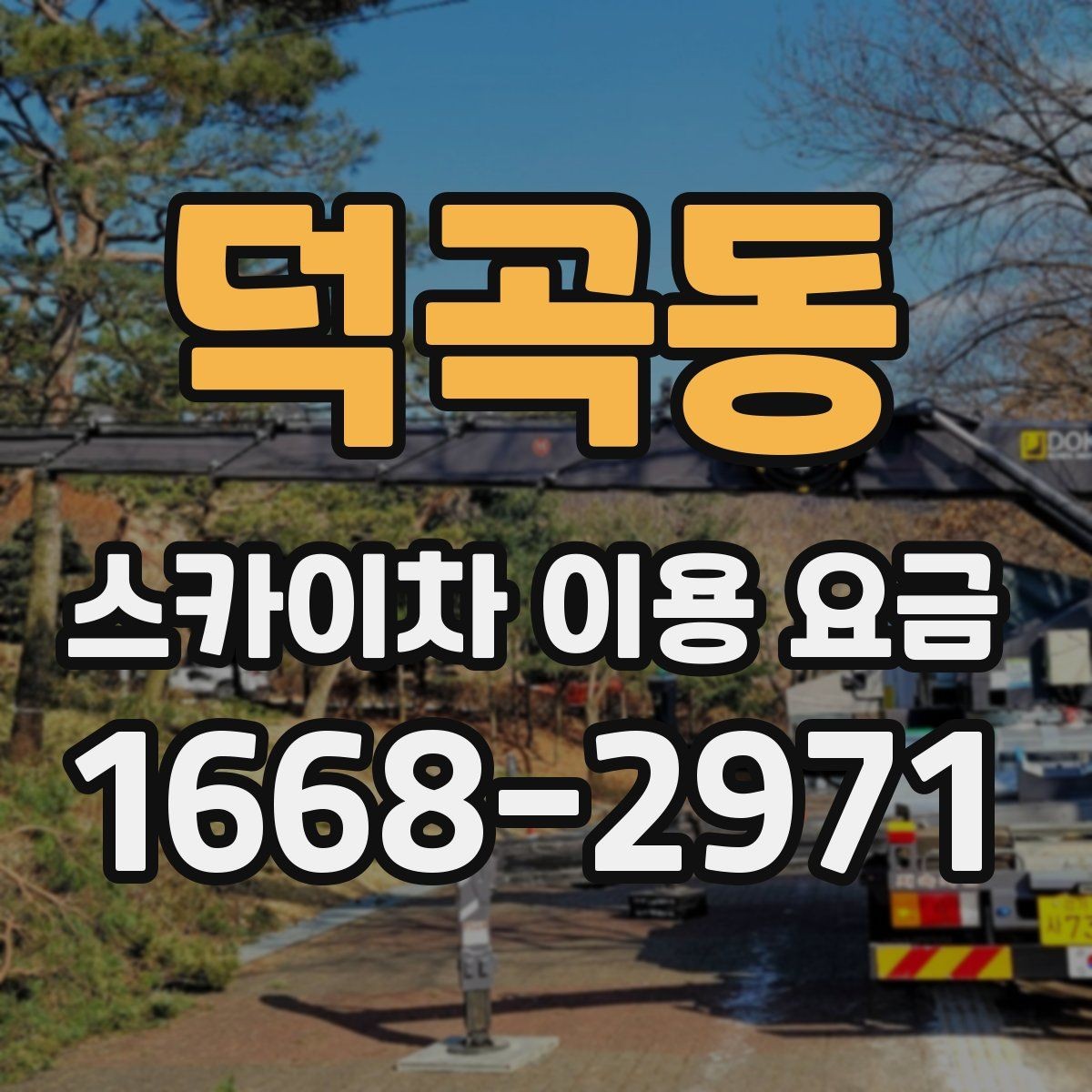 덕곡동 스카이차 이용 요금 비교할 때 기준이 되는 항목