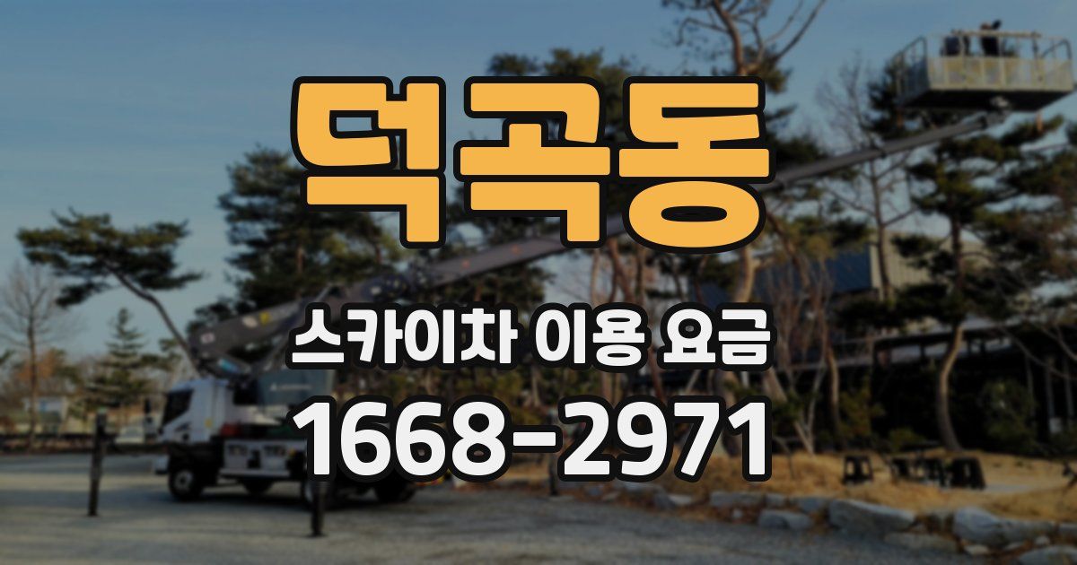 덕곡동 스카이차 이용 요금