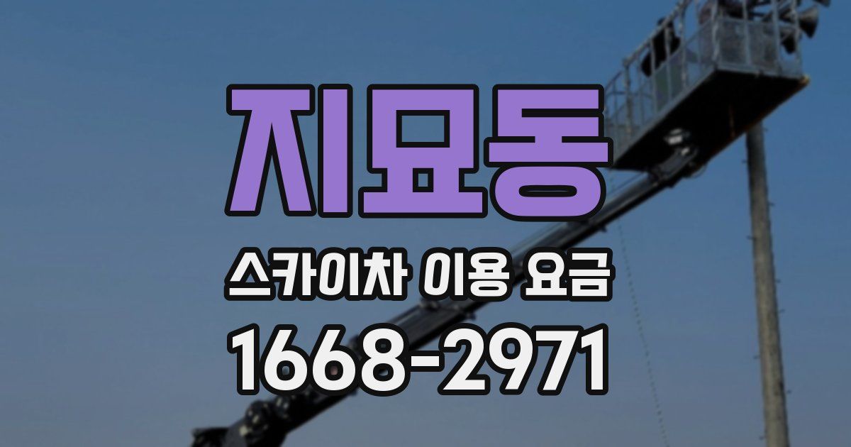 지묘동 스카이차 이용 요금