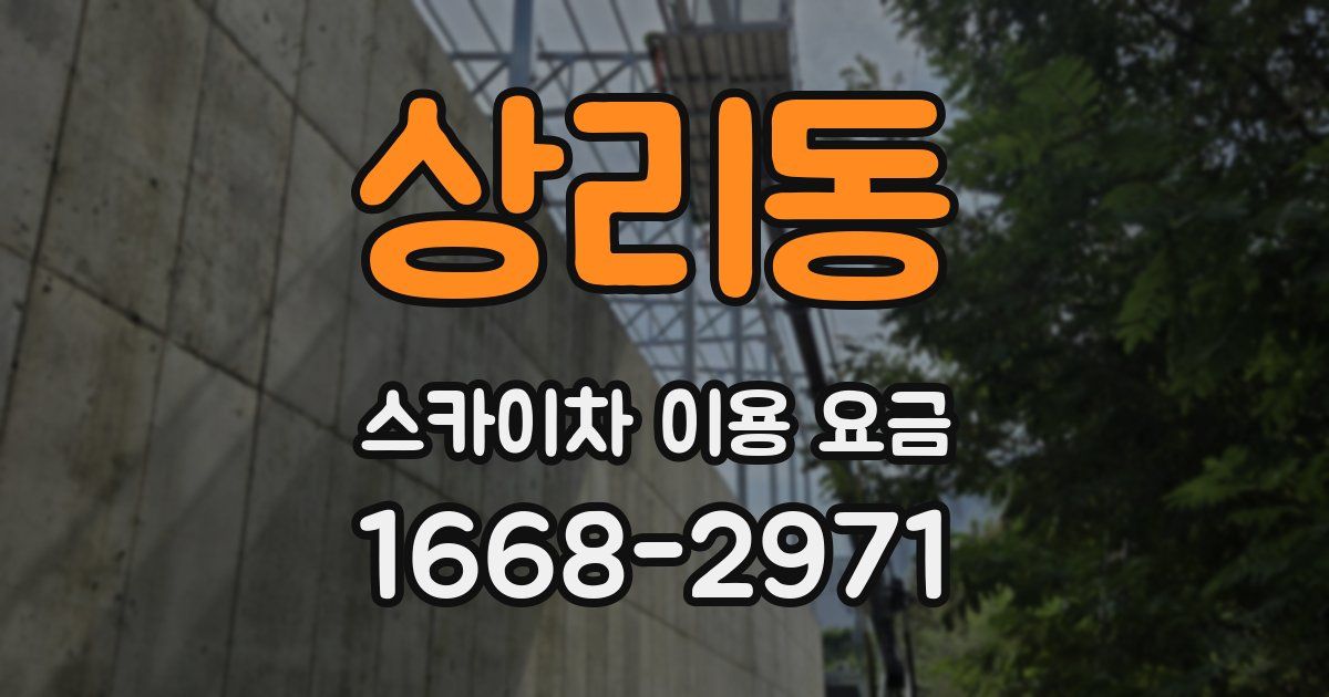 상리동 스카이차 이용 요금
