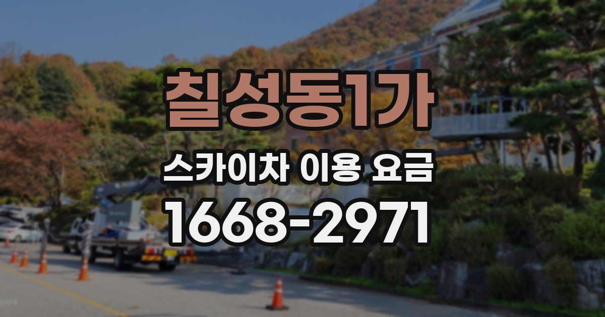 칠성동1가 스카이차 이용 요금