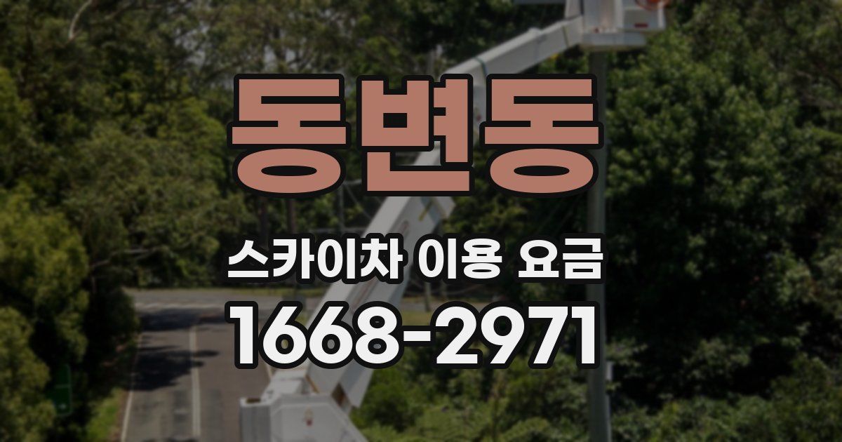 동변동 스카이차 이용 요금