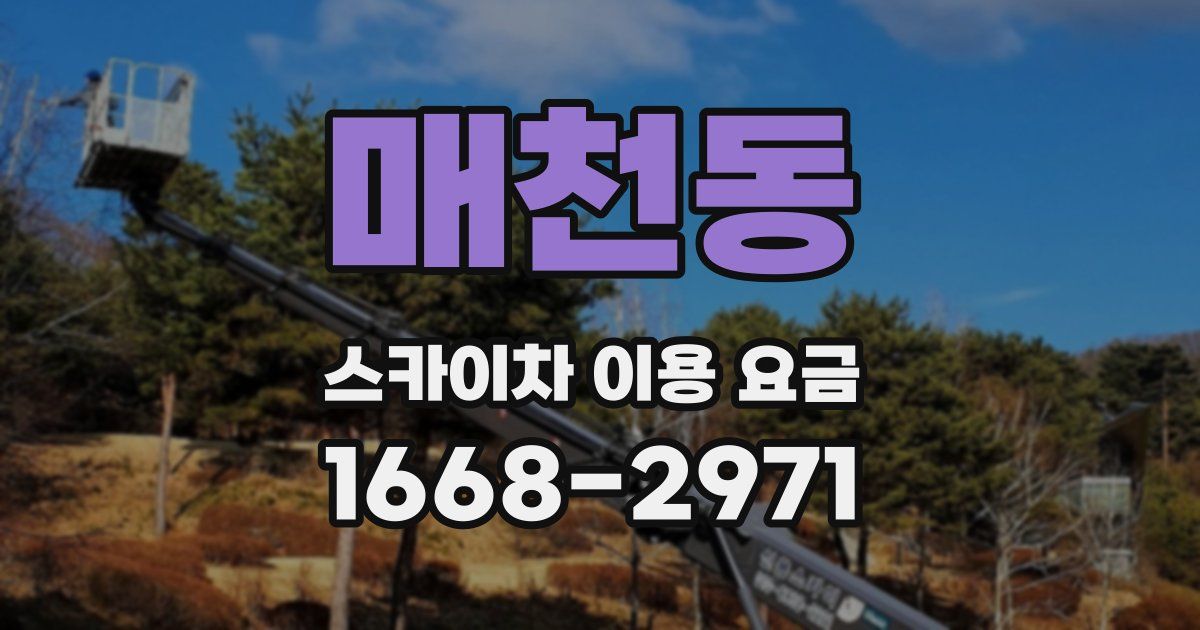 매천동 스카이차 이용 요금