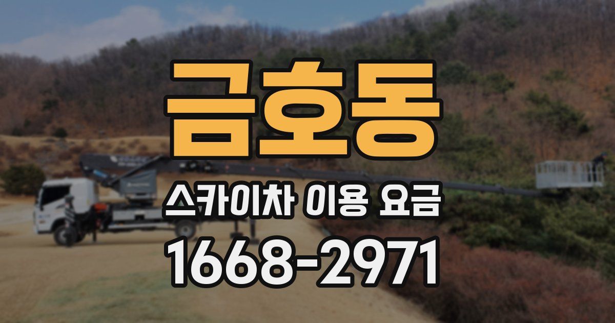 금호동 스카이차 이용 요금