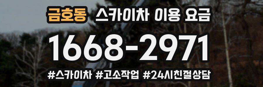 금호동 스카이차 이용 요금
