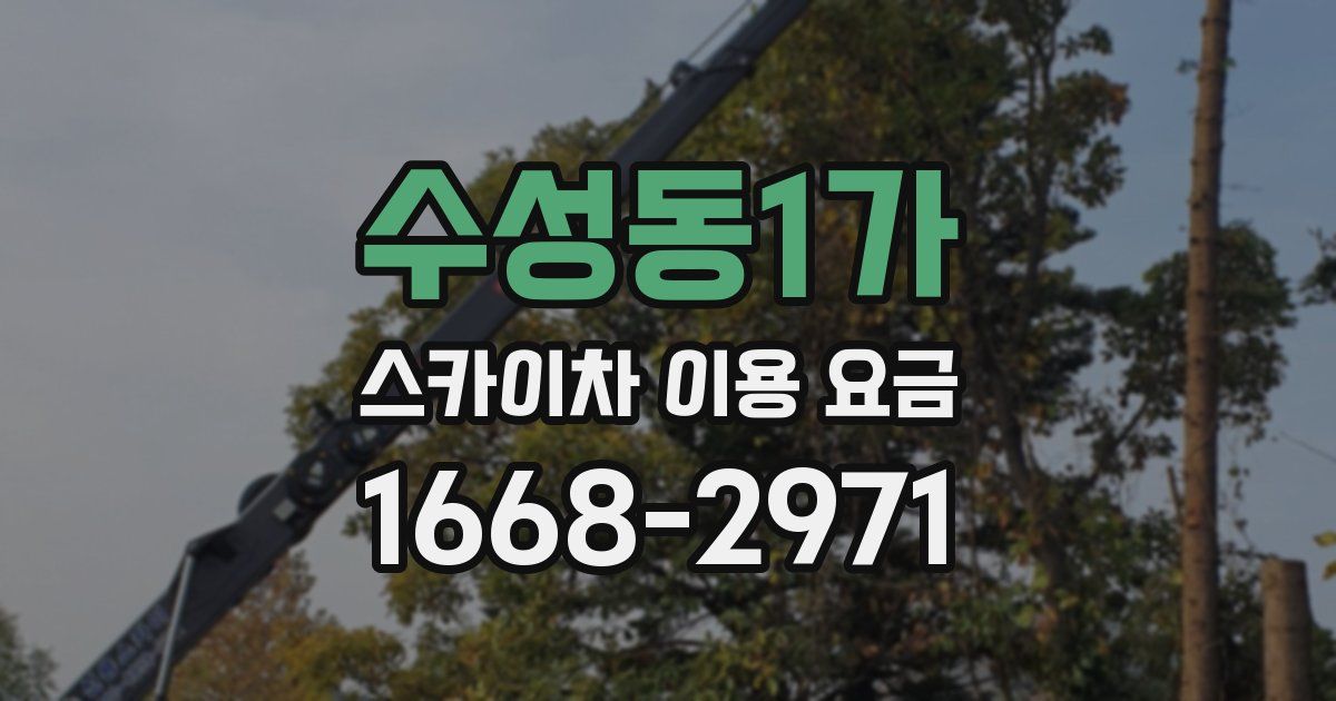 수성동1가 스카이차 이용 요금