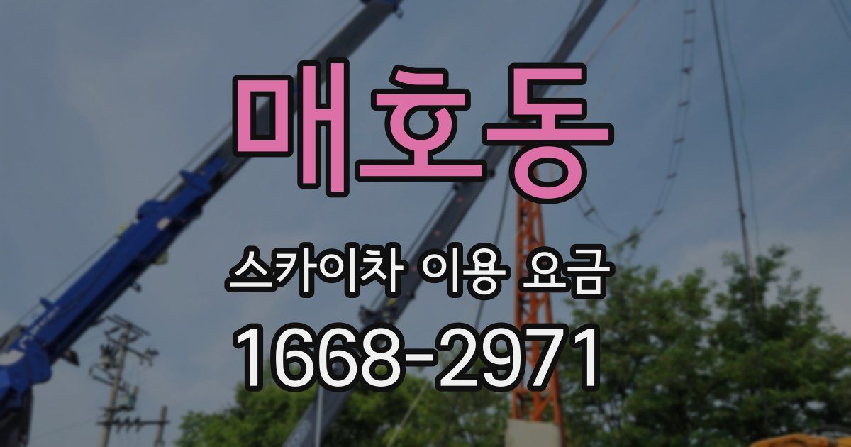매호동 스카이차 이용 요금