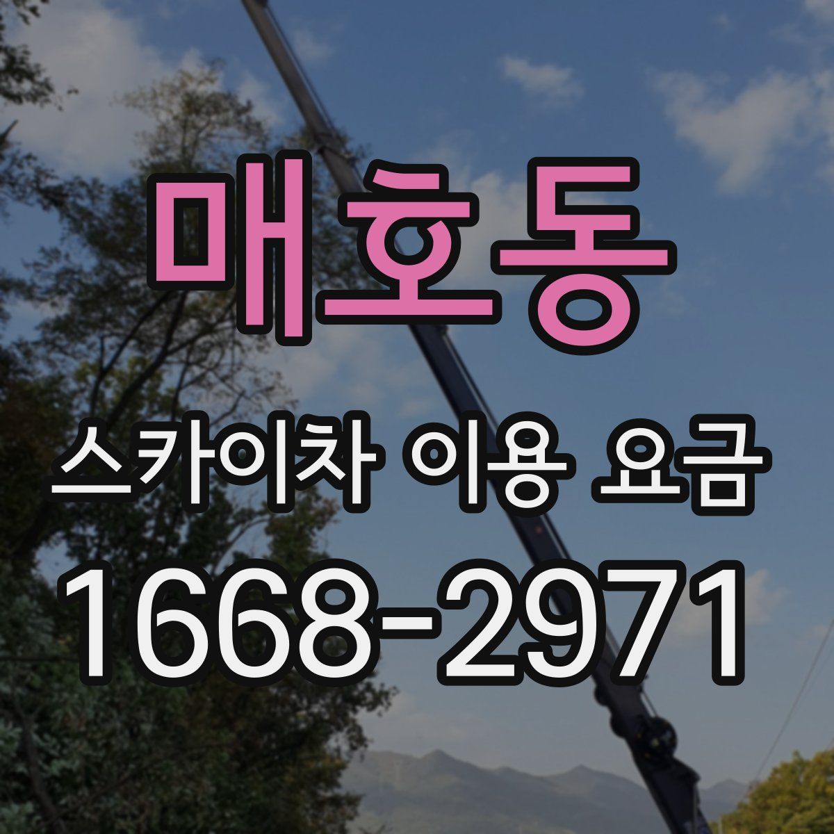 매호동 스카이차 이용 요금