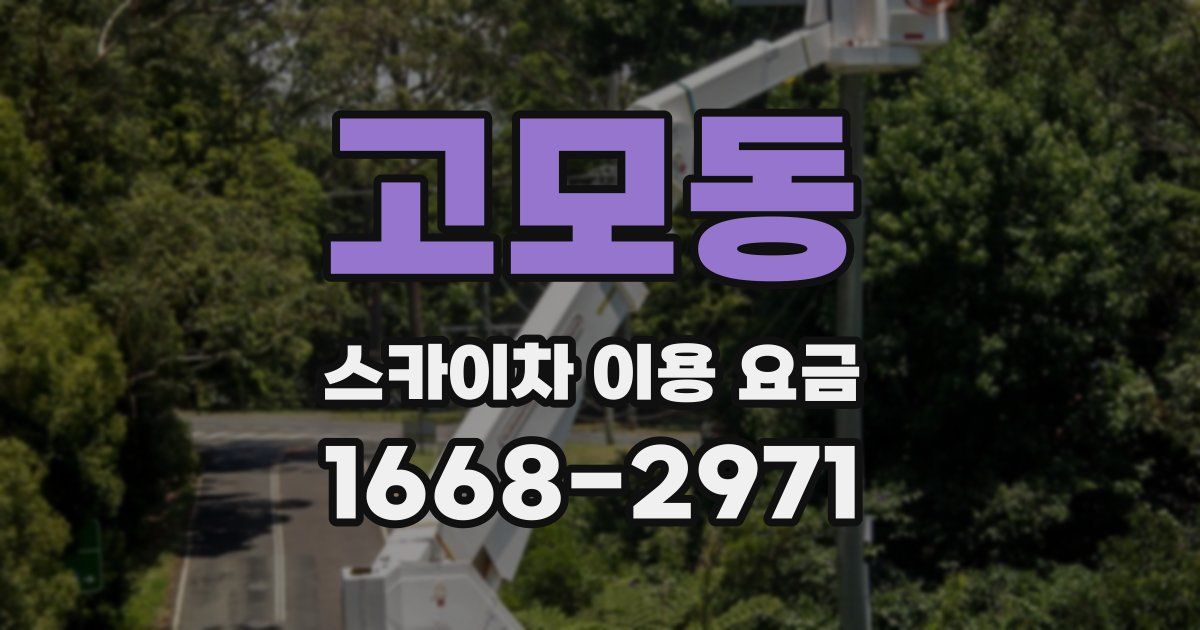 고모동 스카이차 이용 요금