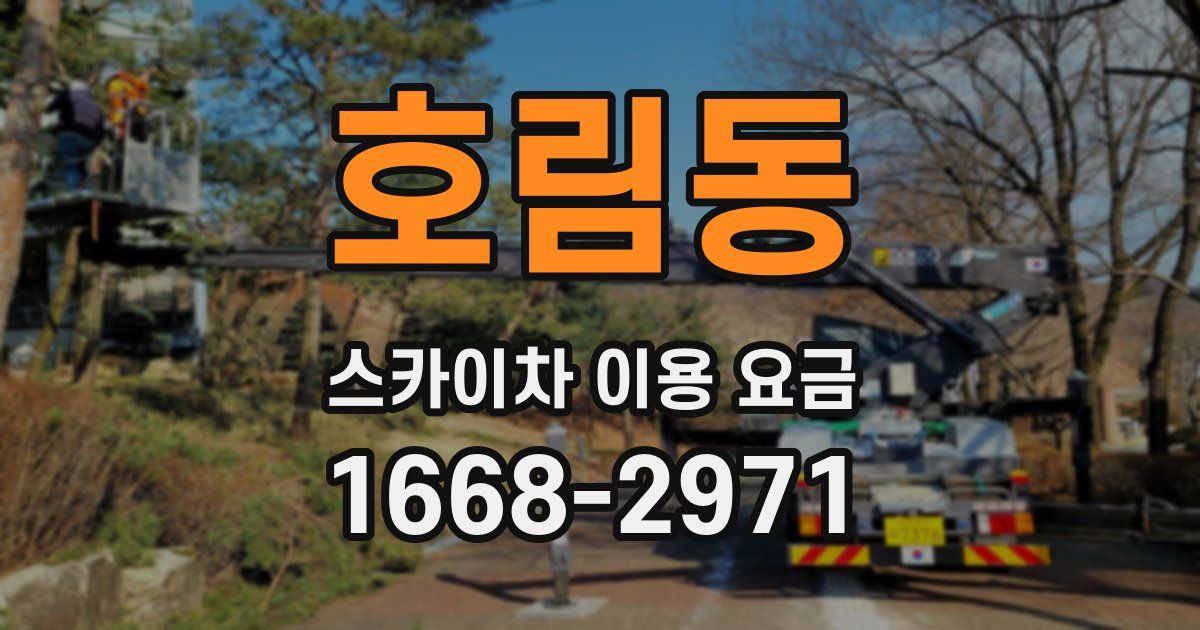호림동 스카이차 이용 요금