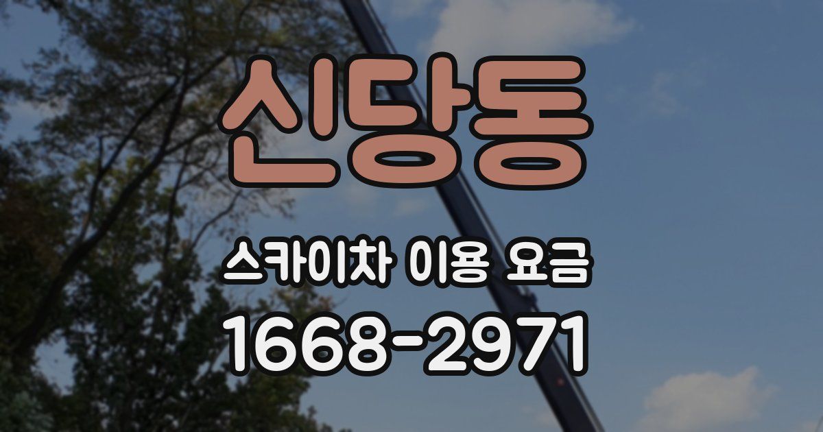 신당동 스카이차 이용 요금