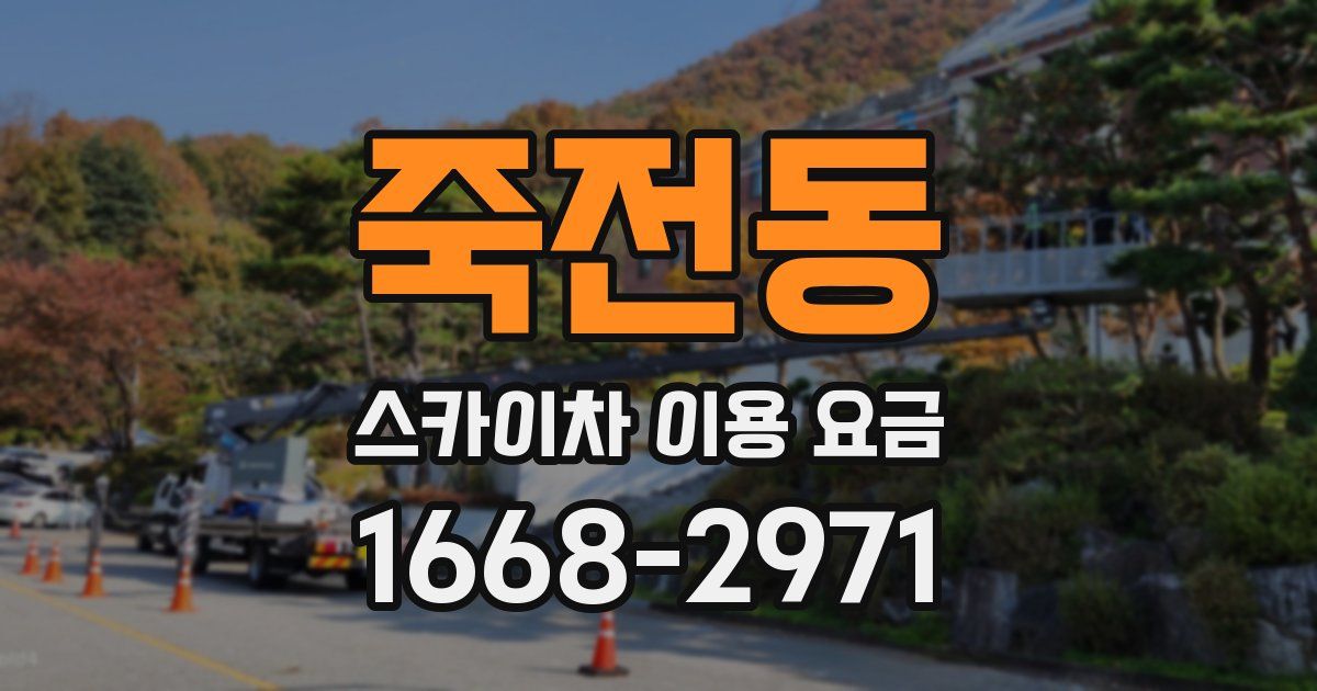 죽전동 스카이차 이용 요금