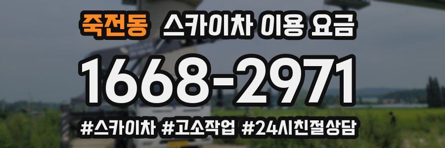 죽전동 스카이차 이용 요금