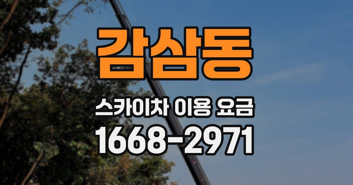 감삼동 스카이차 이용 요금