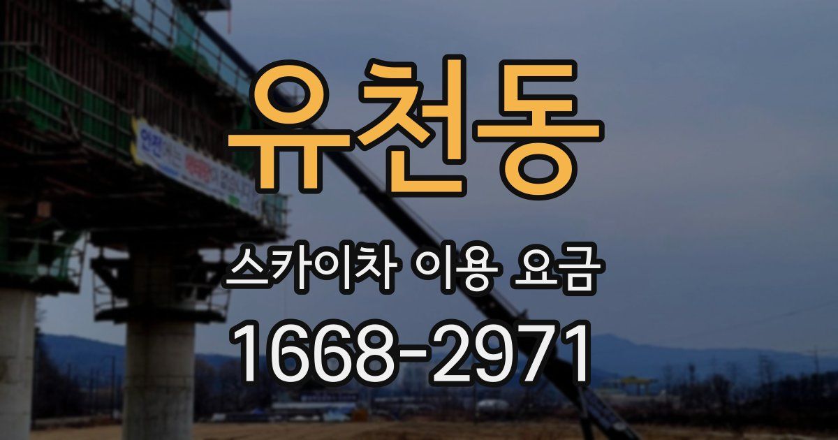 유천동 스카이차 이용 요금