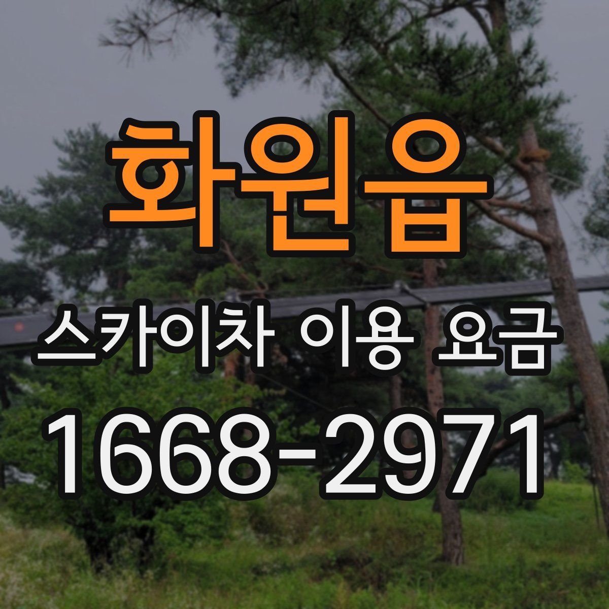 화원읍 스카이차 이용 요금