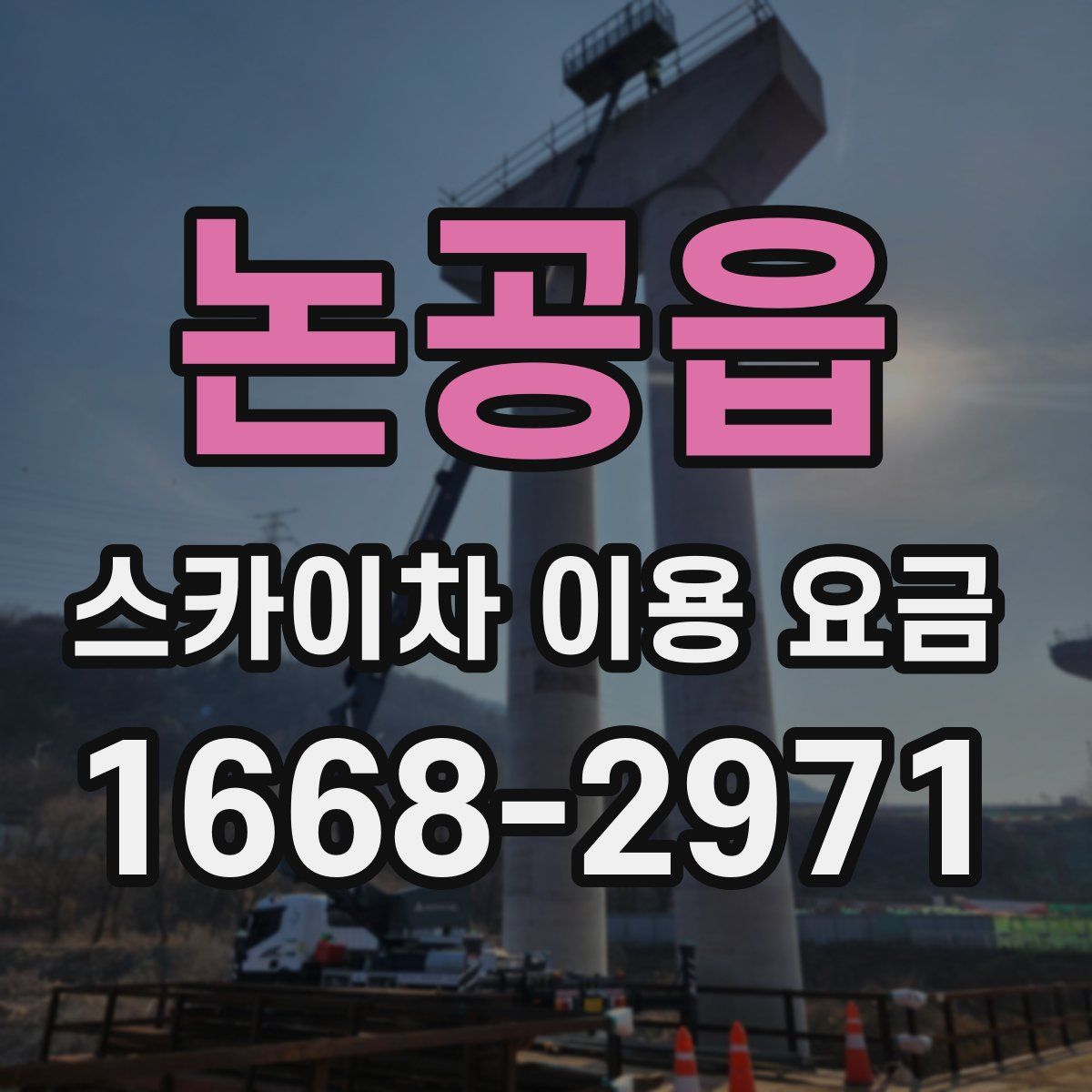 논공읍 스카이차 이용 요금