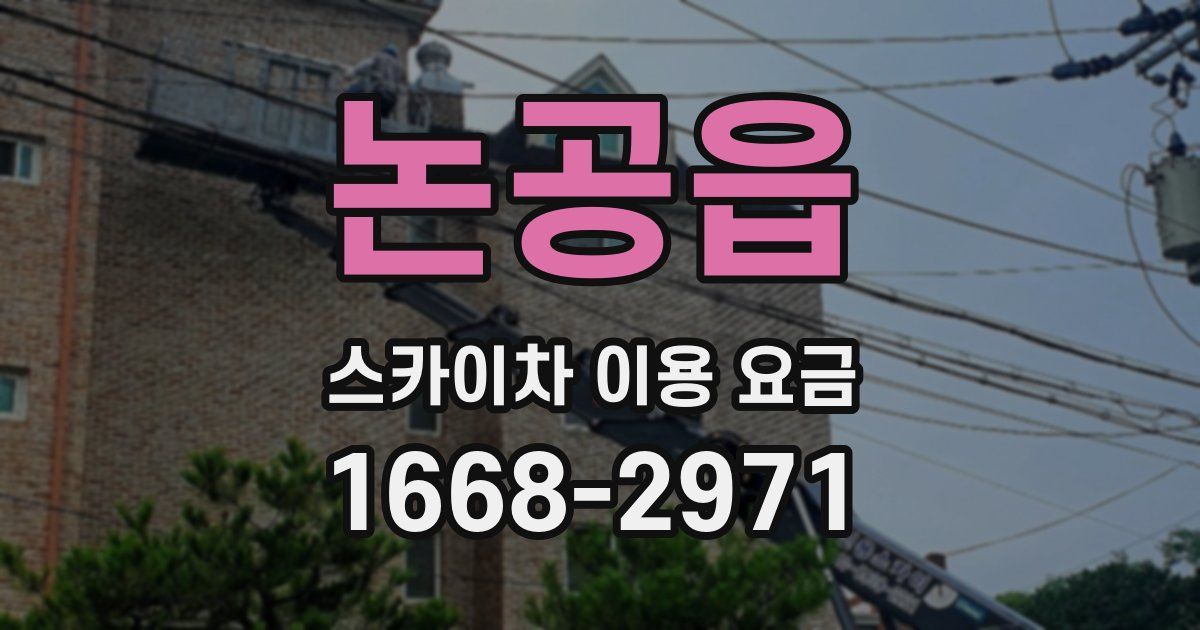 논공읍 스카이차 이용 요금