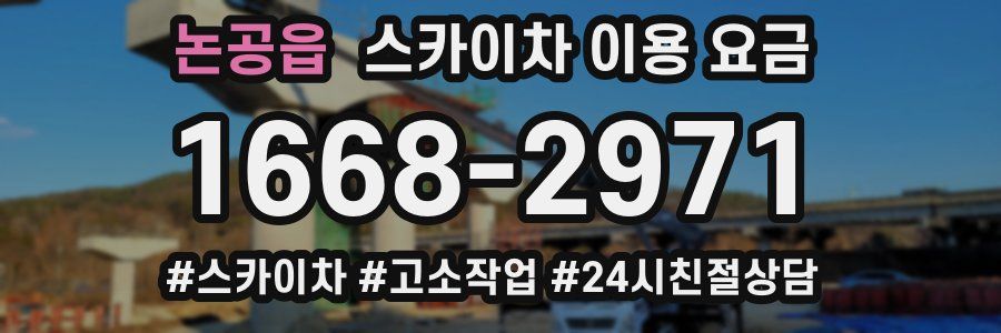 논공읍 스카이차 이용 요금