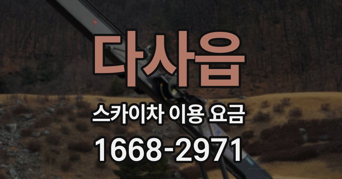 다사읍 스카이차 이용 요금