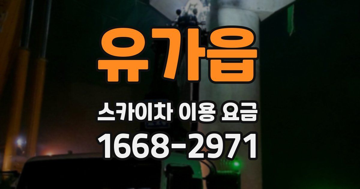 유가읍 스카이차 이용 요금