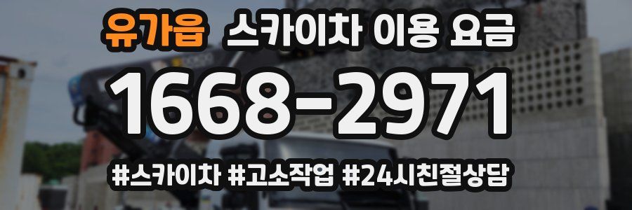 유가읍 스카이차 이용 요금
