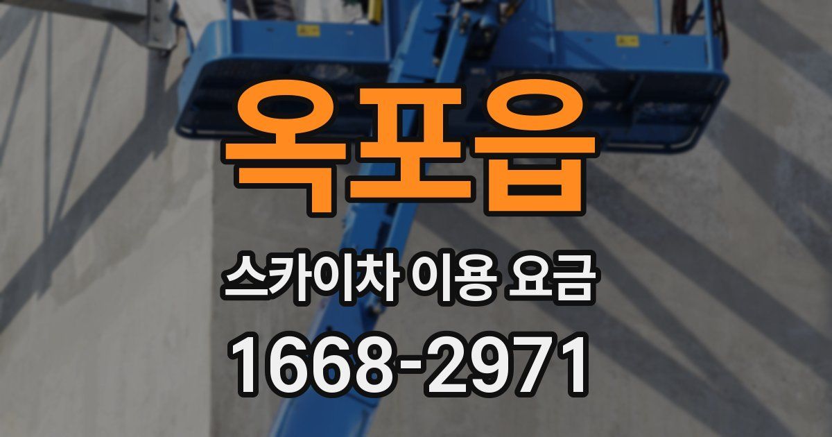 옥포읍 스카이차 이용 요금