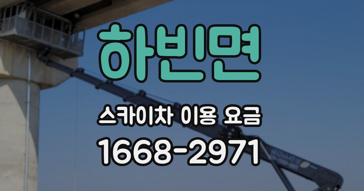 하빈면 스카이차 이용 요금