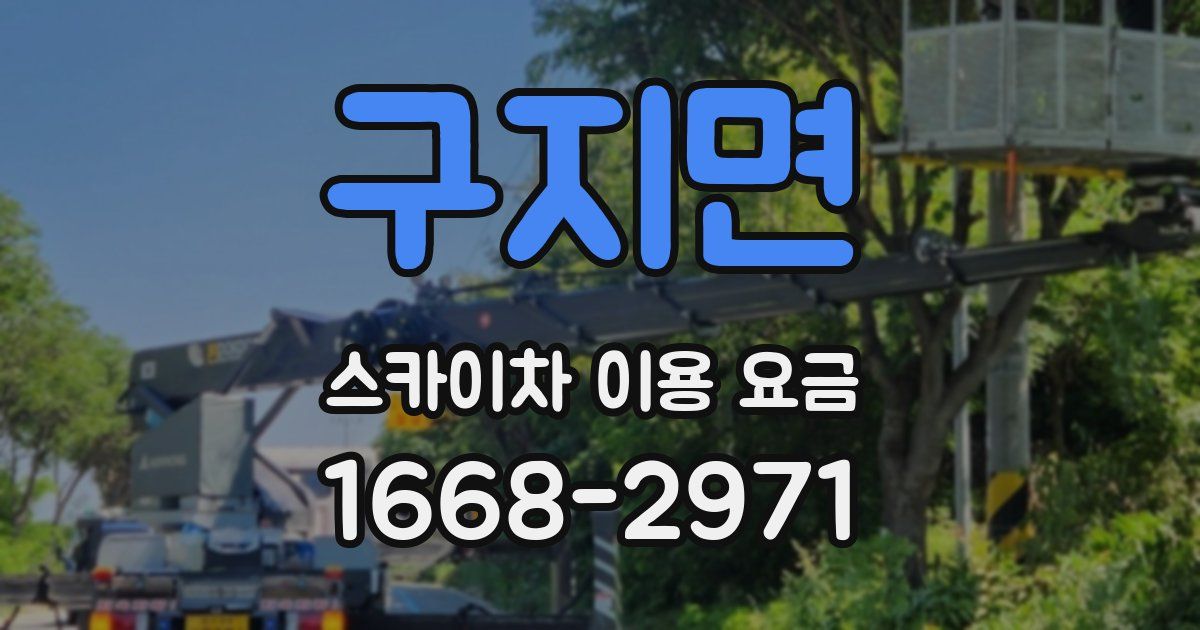 구지면 스카이차 이용 요금