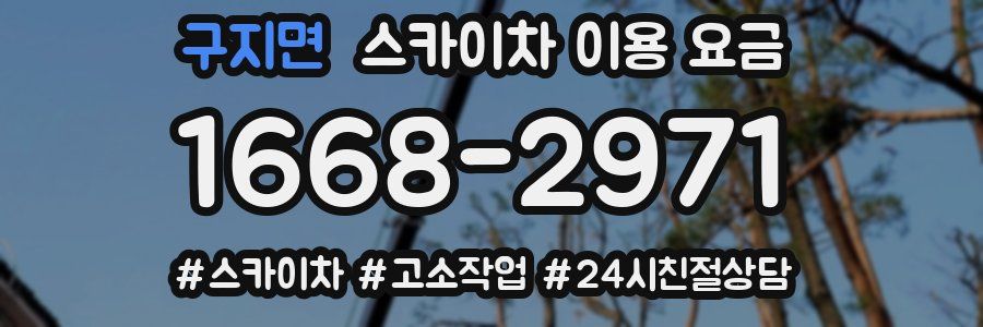 구지면 스카이차 이용 요금