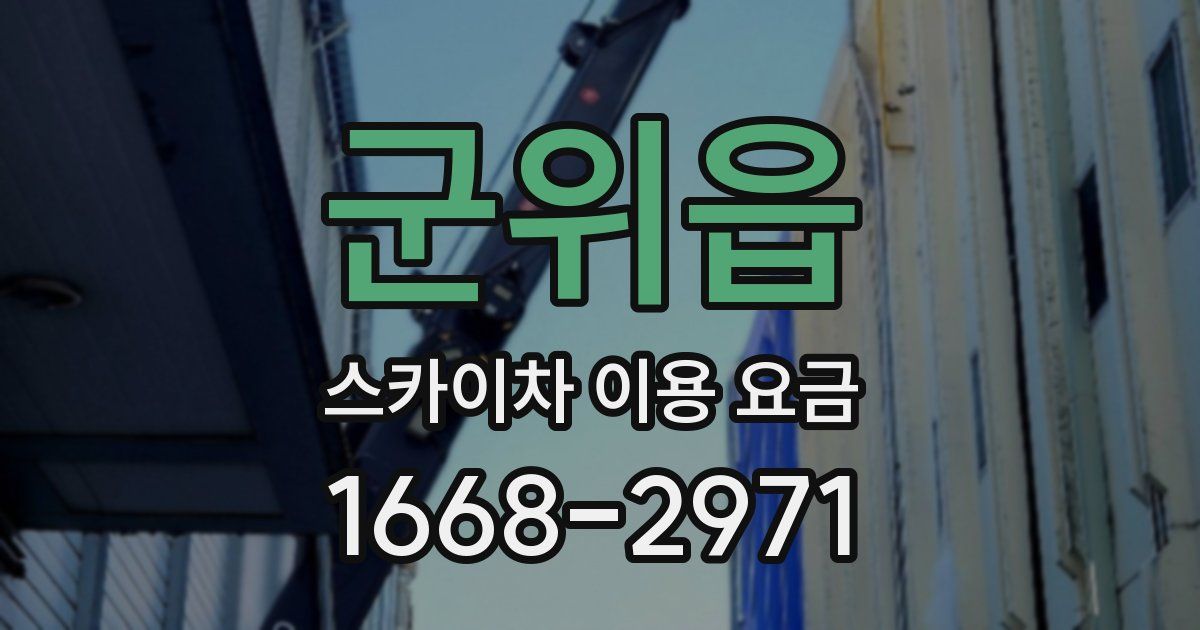 군위읍 스카이차 이용 요금