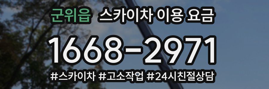 군위읍 스카이차 이용 요금