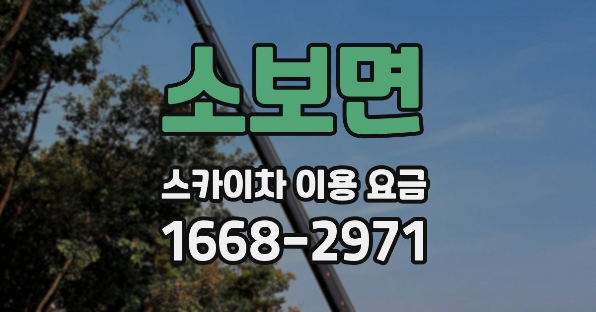 소보면 스카이차 이용 요금