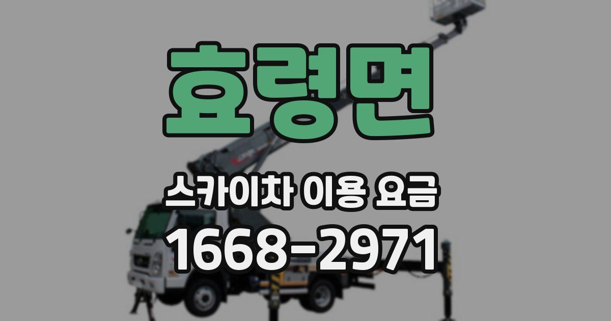 효령면 스카이차 이용 요금