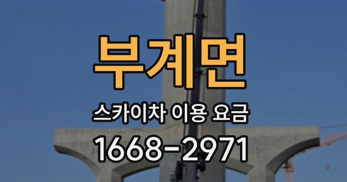 부계면 스카이차 이용 요금
