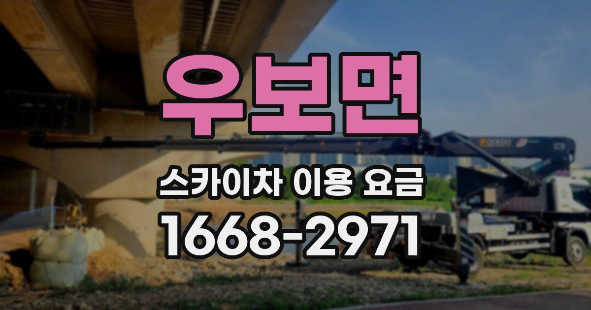우보면 스카이차 이용 요금