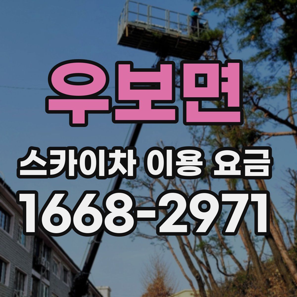 우보면 스카이차 이용 요금