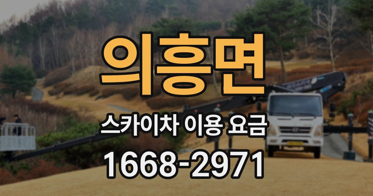 의흥면 스카이차 이용 요금