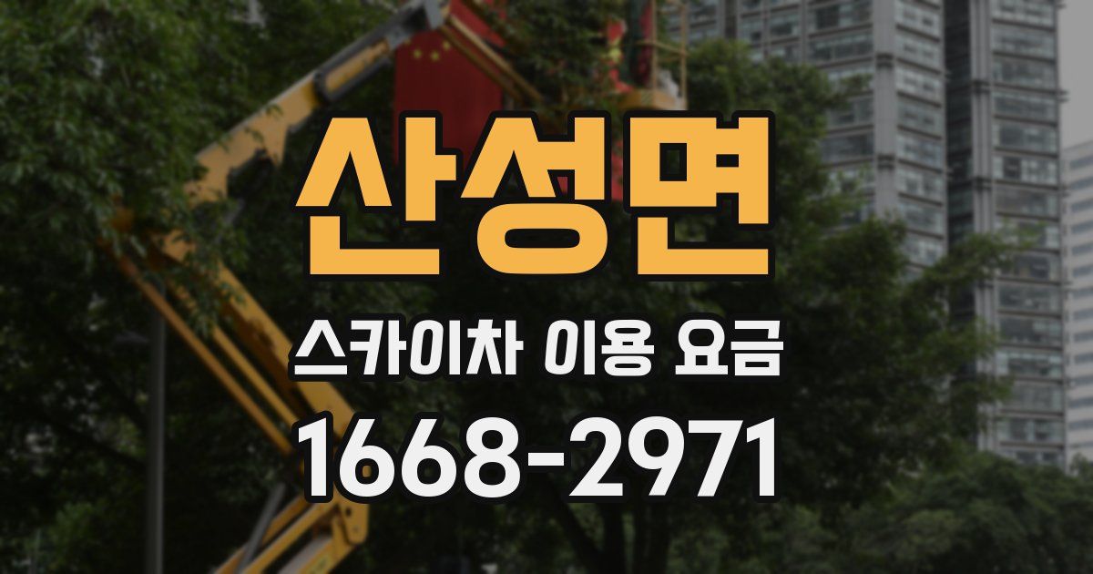 산성면 스카이차 이용 요금